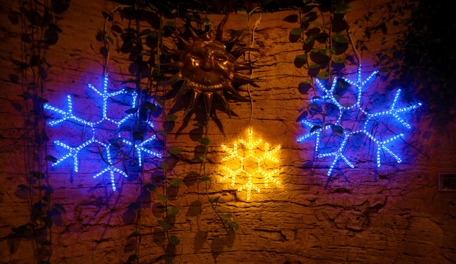 112718-botanical-lights-002